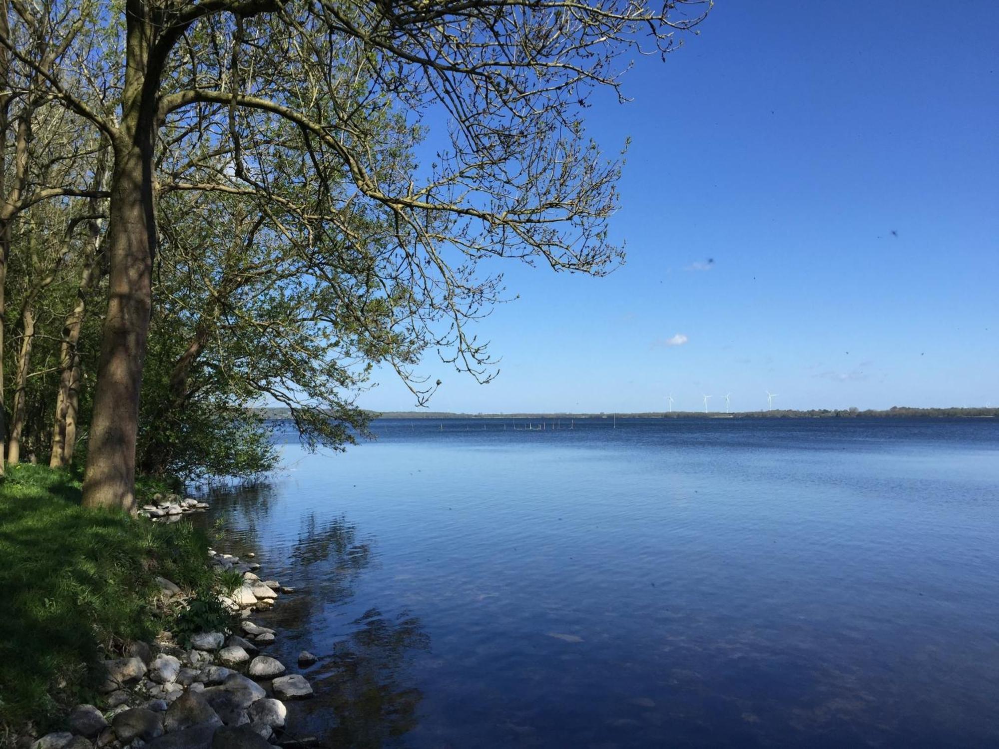 Frietied Am Wittensee Bunsdorf Exterior foto